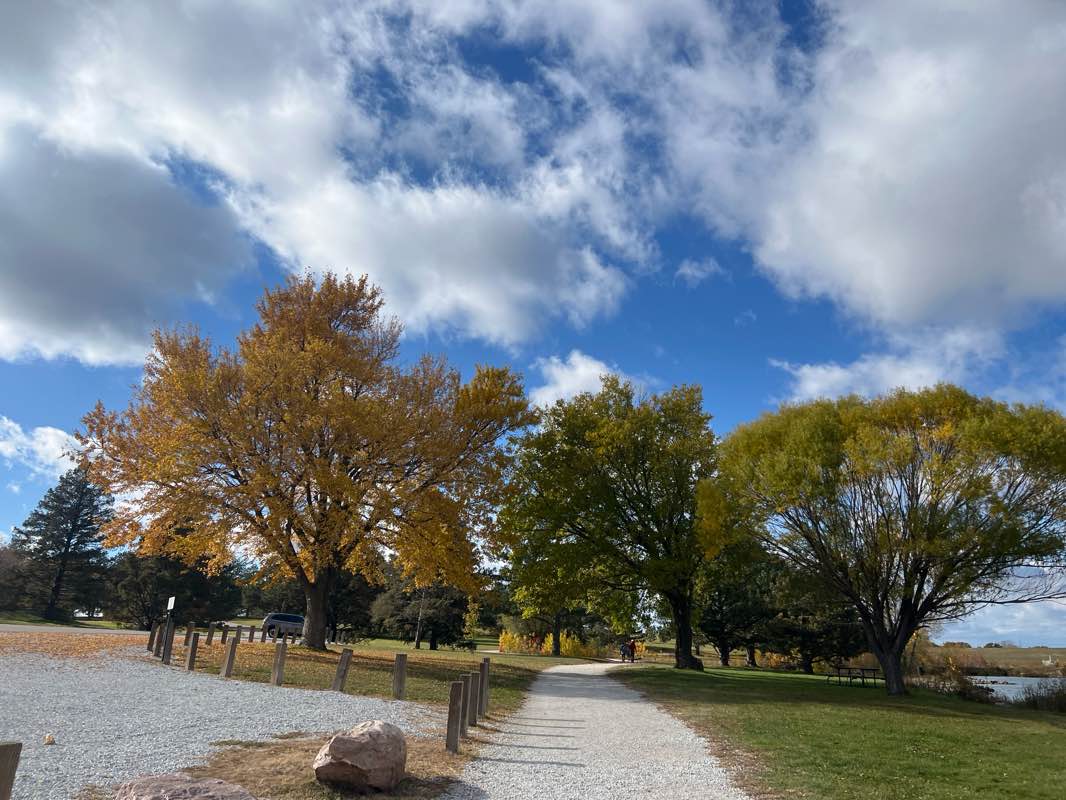 walking near me in Holmes Lake Park in autumn