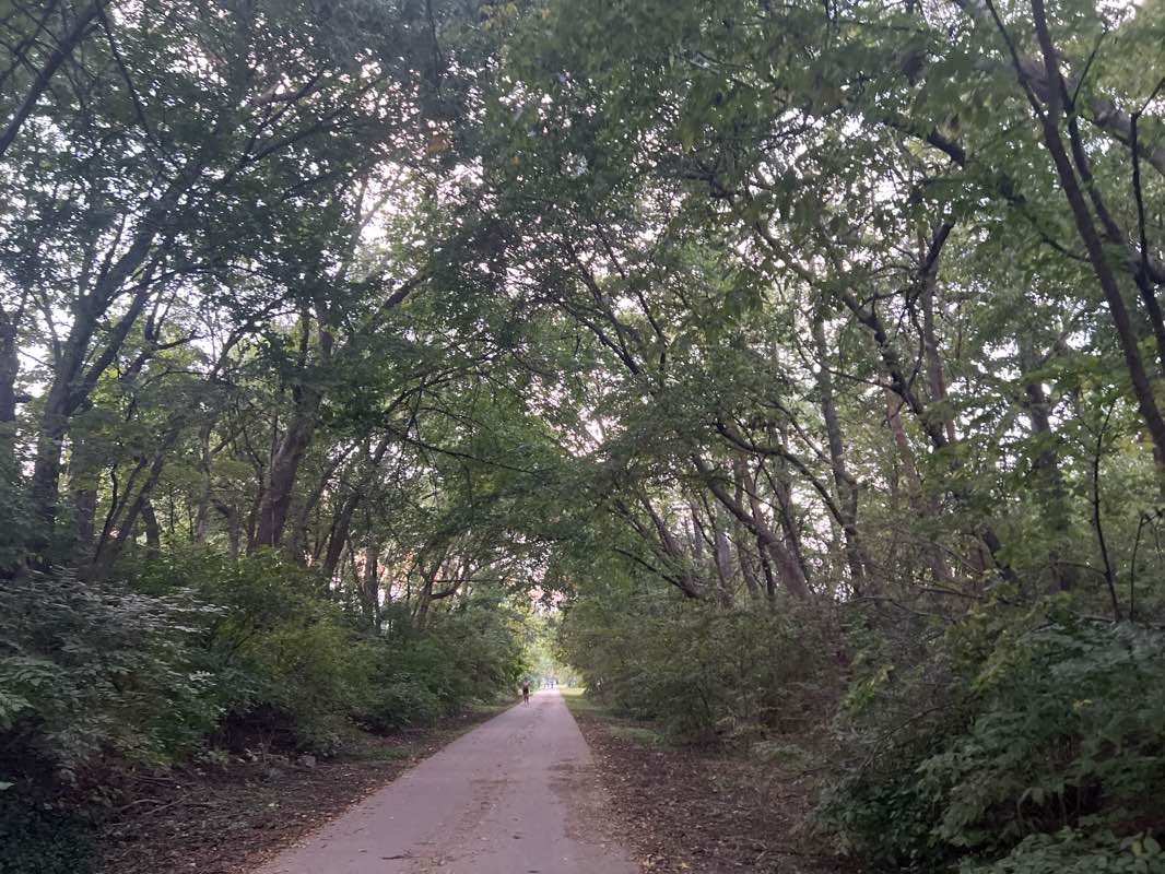 walking near me in McAdams Park in autumn