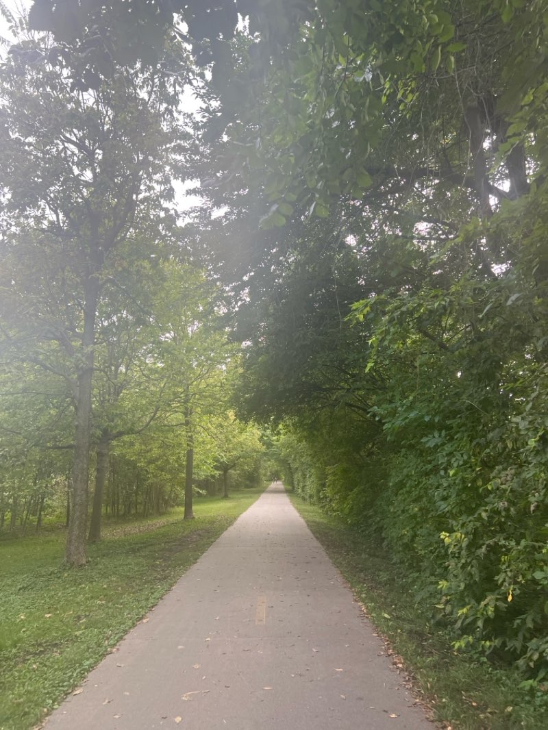 walking near me in Bishop Heights Park in autumn