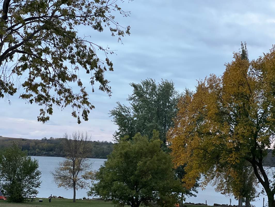 walking near me in Branched Oak State Recreation Area in autumn