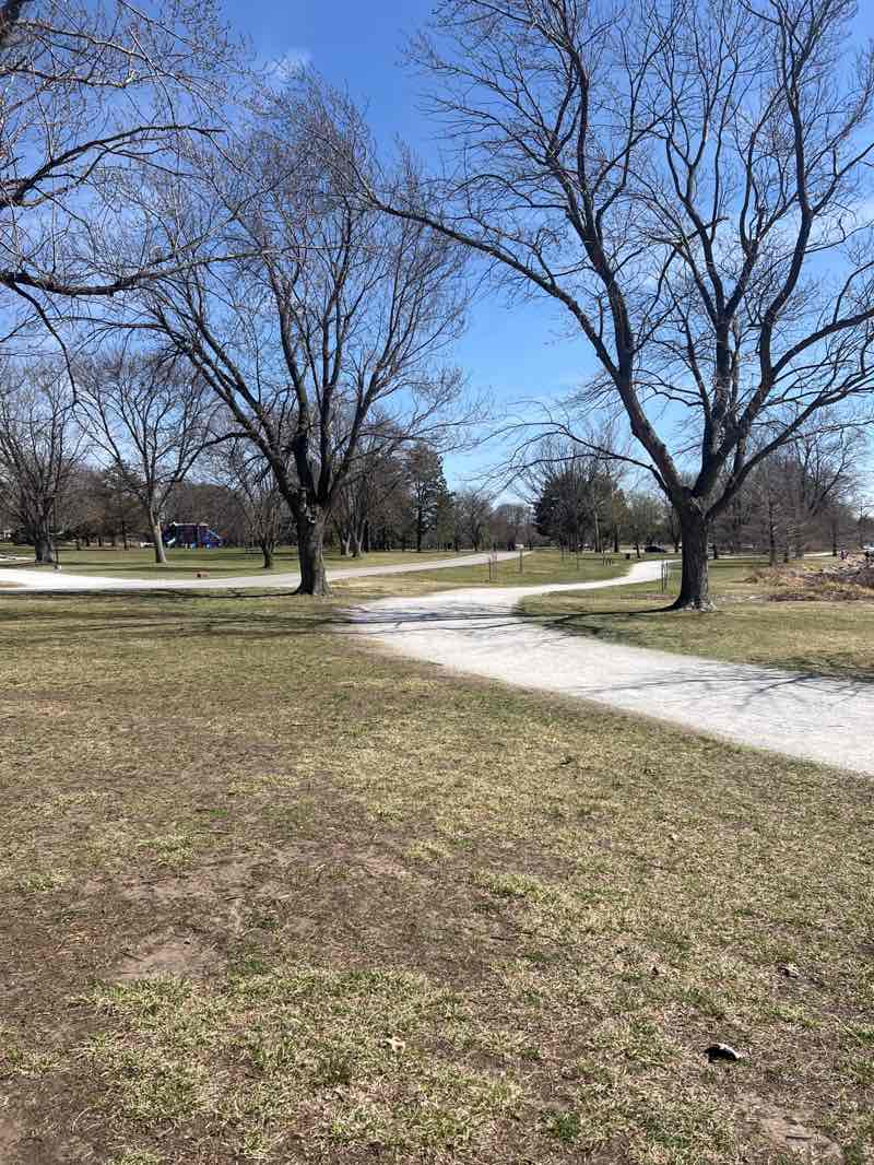 walking near me in Holmes Lake Park in spring