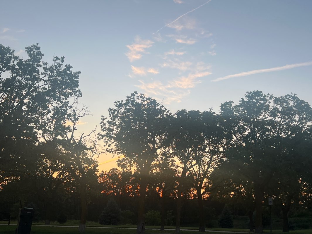 walking near me in Bison Park in summer