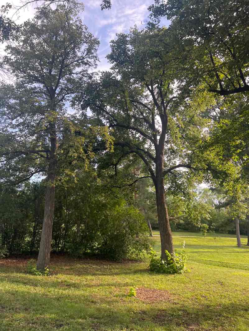 walking near me in Antelope Park South in summer