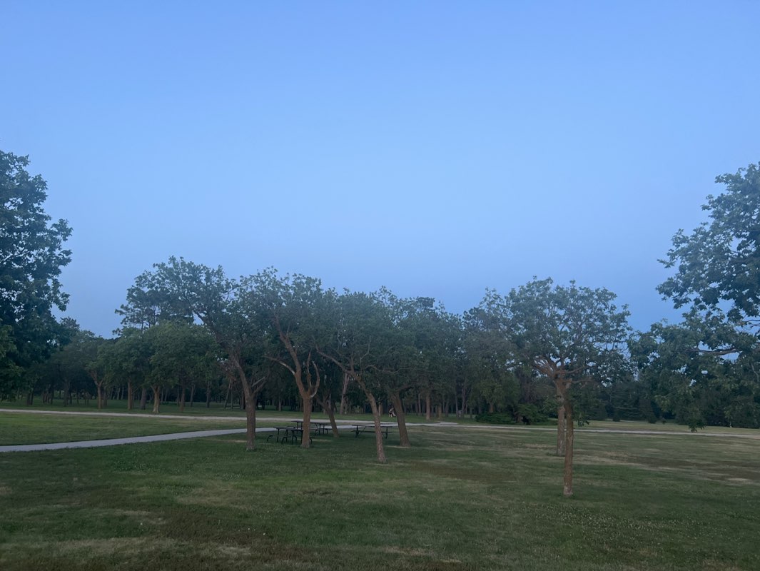 walking near me in Bison Park in summer