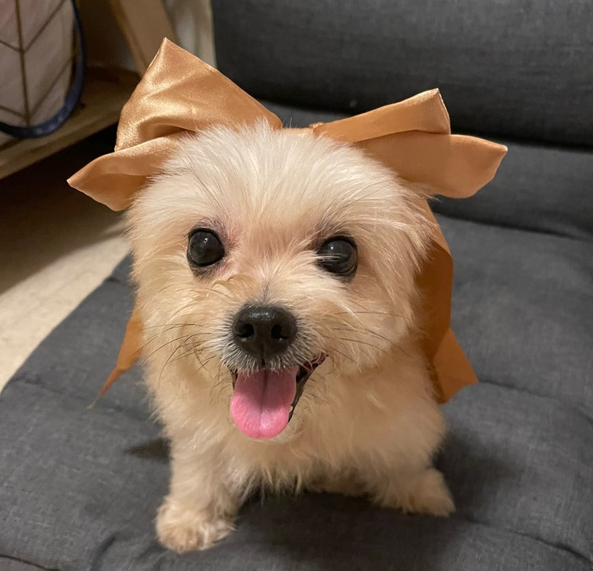 Christina Mara profile