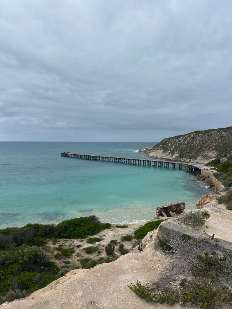 walking near me in Dhilba Guuranda-Innes National Park in spring