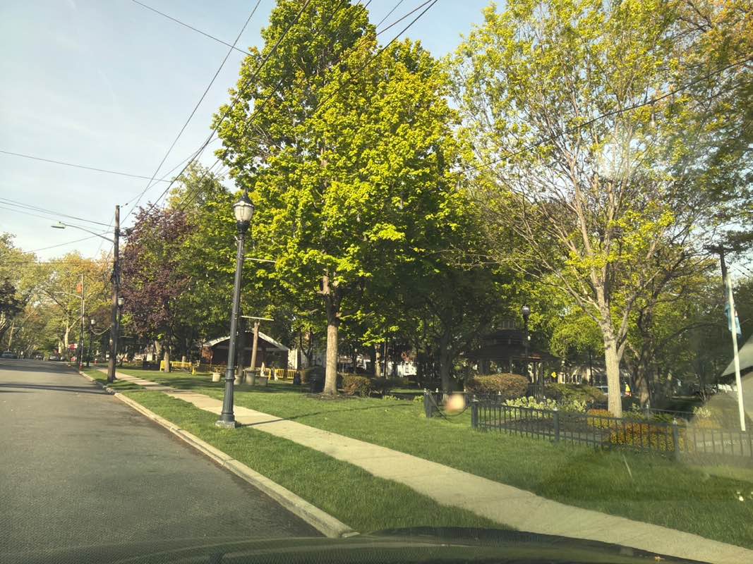 walking near me in Lincoln Park in spring