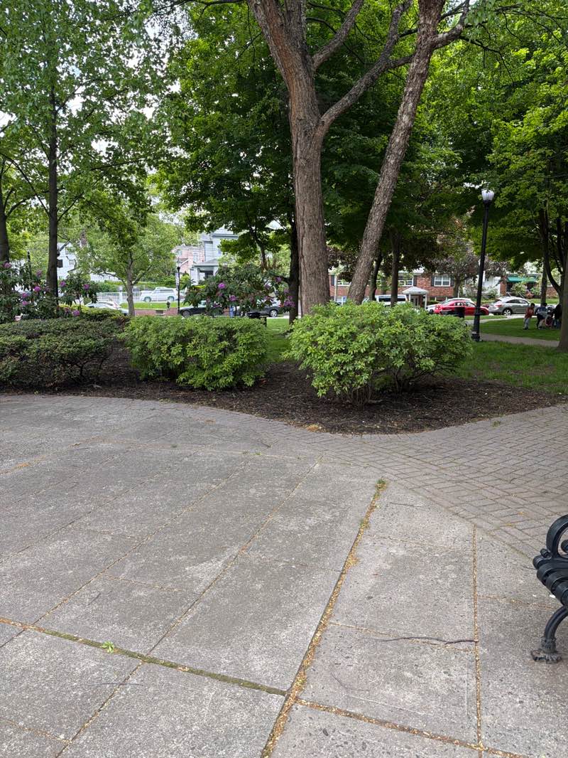 walking near me in Lincoln Park in spring