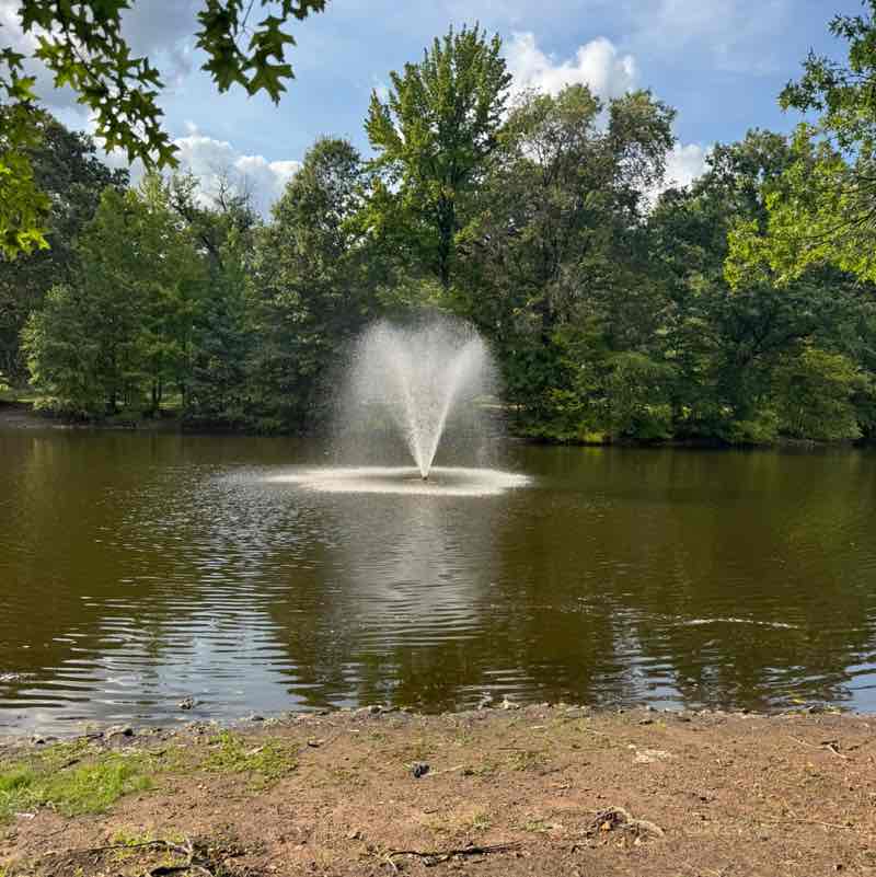 Stephanie Oliveira post 3