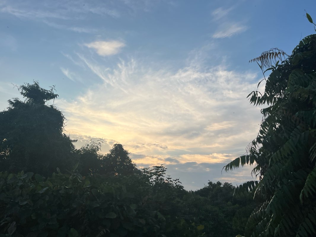 walking near me in Kelab Komuniti Taman Tasik Cyberjaya in autumn