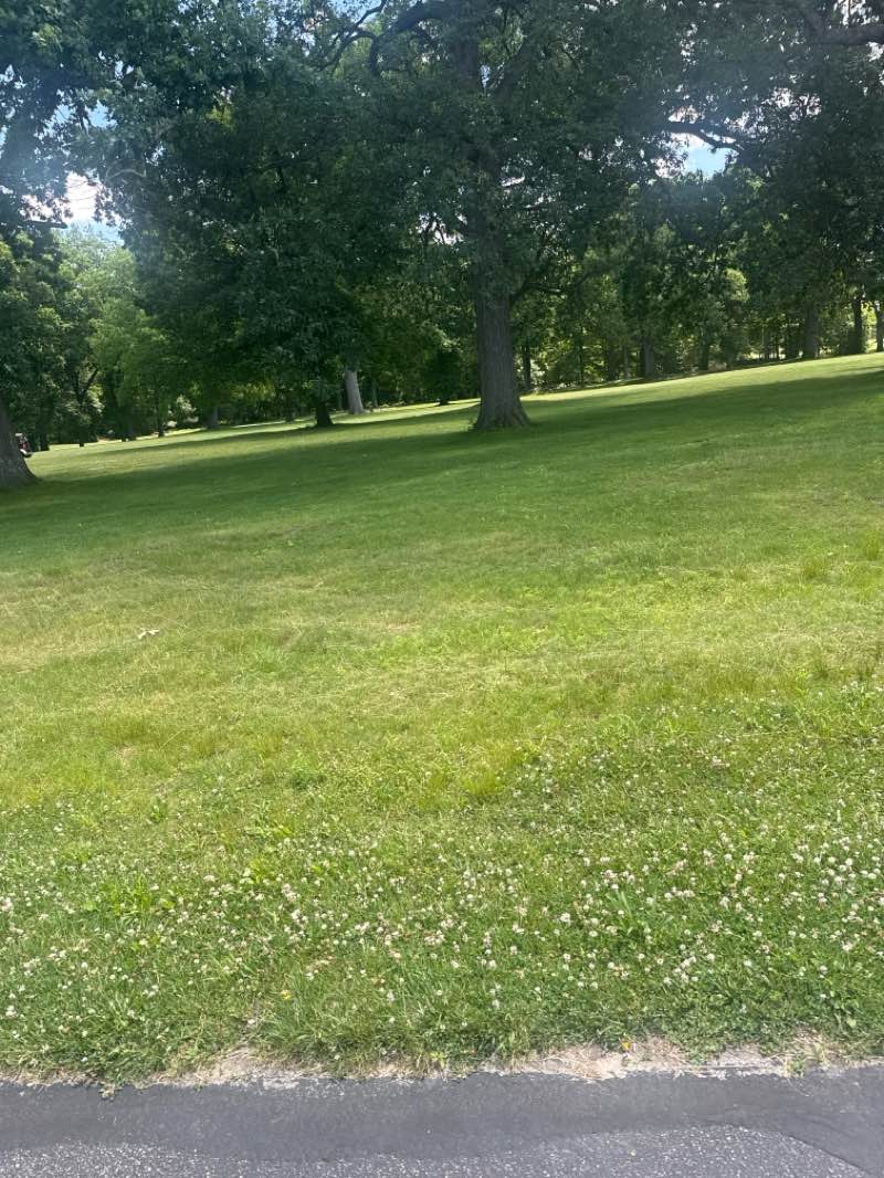 walking near me in Ottawa Park in summer