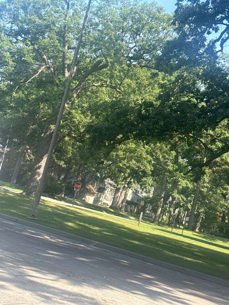 walking near me in Ottawa Park in summer