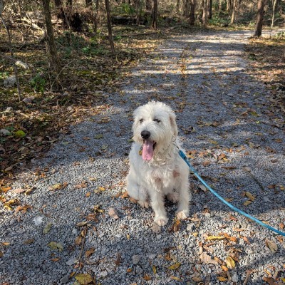 DDTN Club Gina Conrad post image