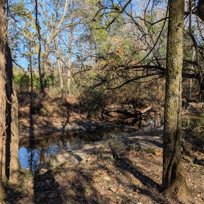 DDTN Club Gina Conrad post image