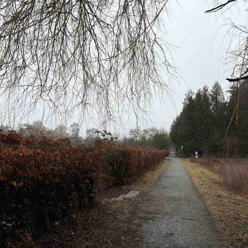 Beāte Luīze post 1