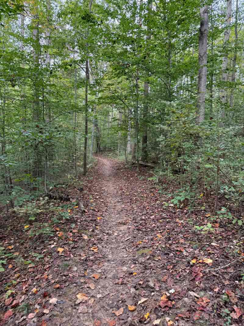 walking near me in Hurricane City Park in autumn