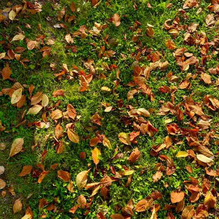 На пути к здоровью . post image