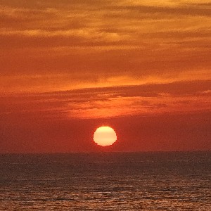 [경영관리그룹] 의지만땅 icon