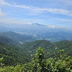 [기준정보그룹] 알뜰살림하하호호 icon