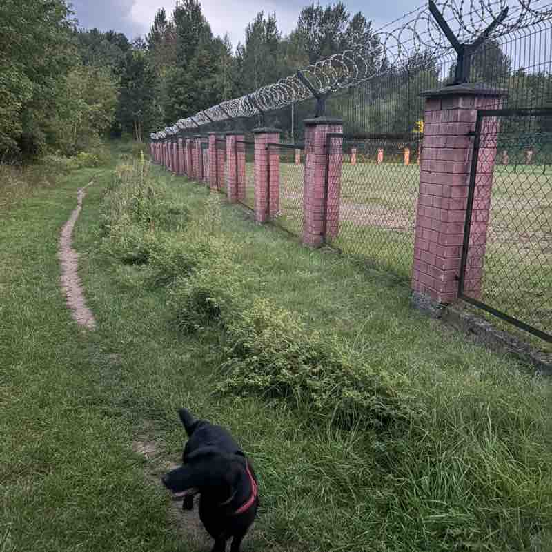 AUDIFINA Rasa post image