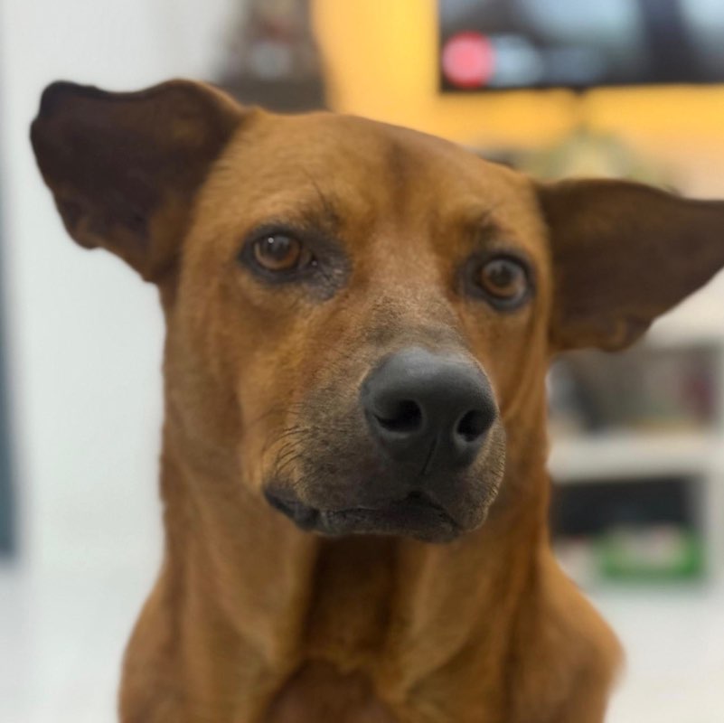 Betty profile