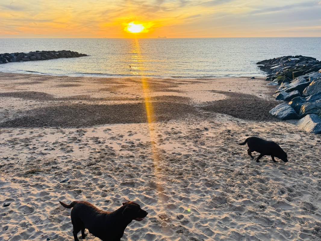 Phillip Meister profile