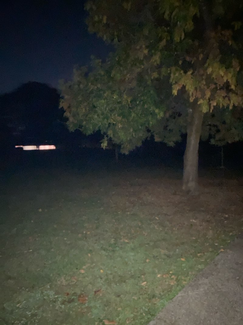 walking near me in Brewer City Park in autumn