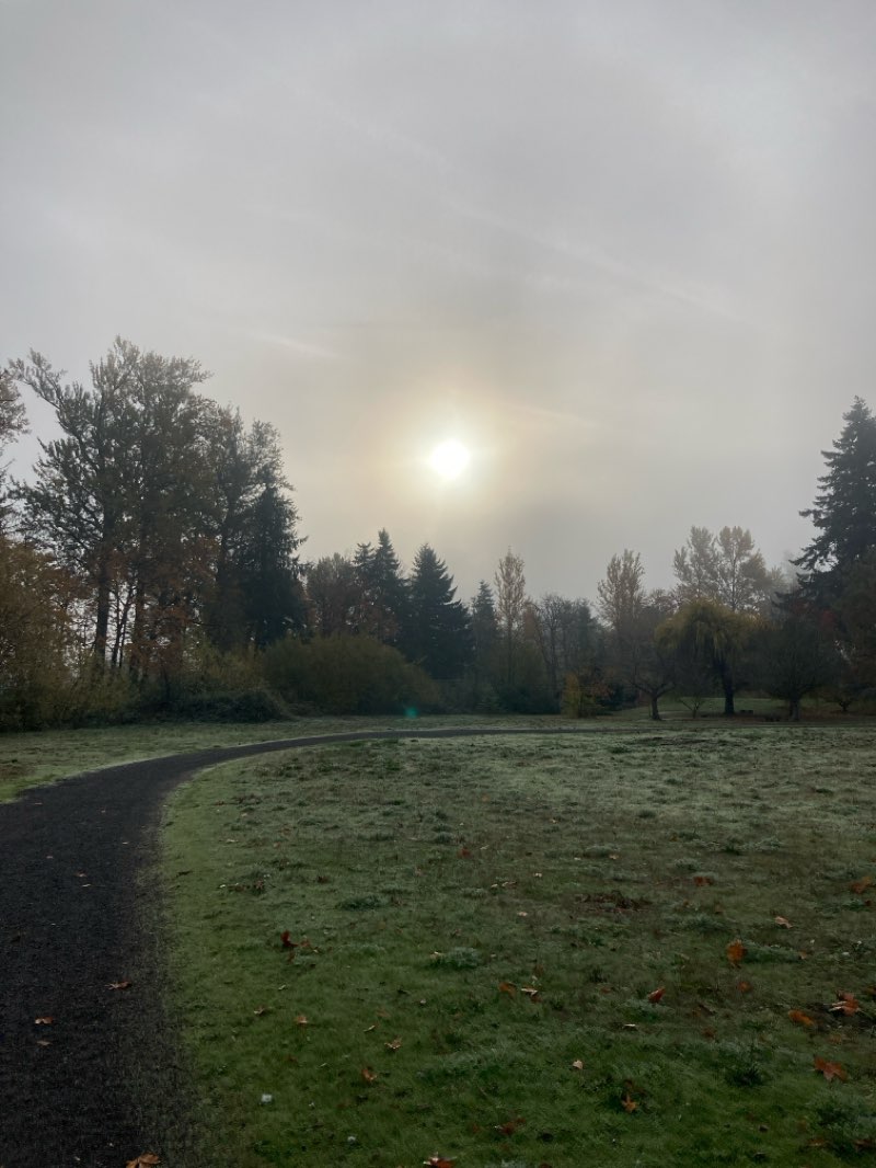 walking near me in Alton Baker Park in autumn