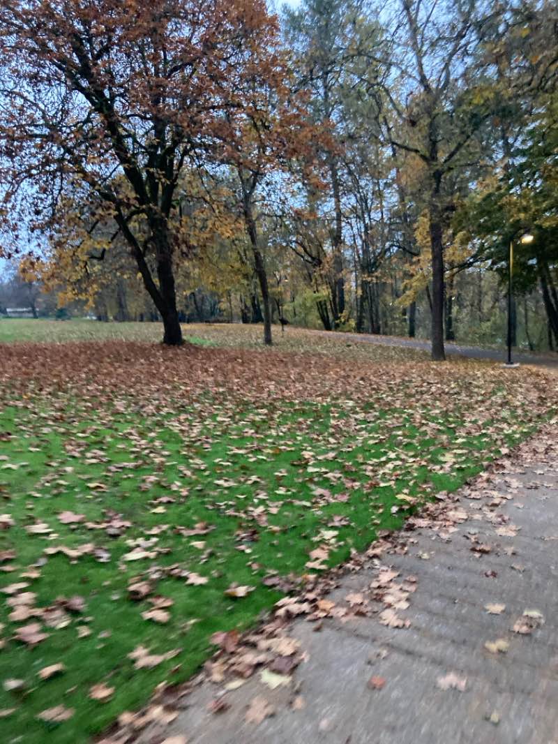 walking near me in Skinner Butte City Park in autumn