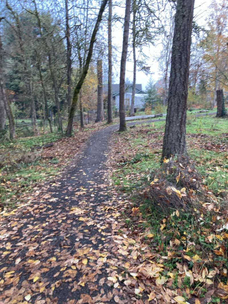 walking near me in Bond Lane City Park in autumn