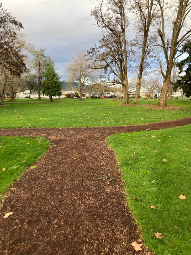 walking near me in Willamalane Park in winter