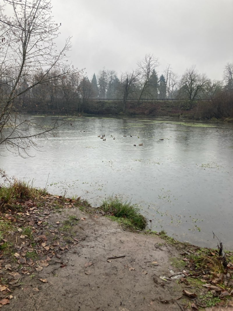 walking near me in Delta Ponds City Park in winter