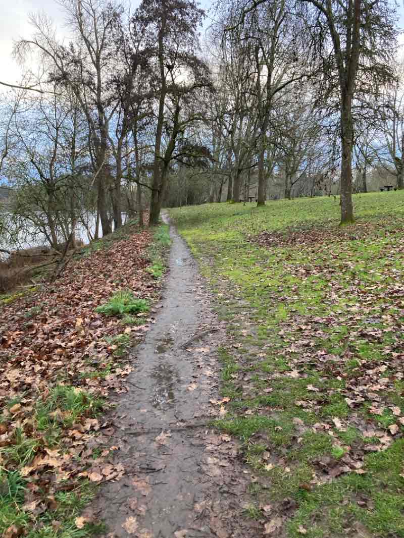 walking near me in East Bank City Park in winter