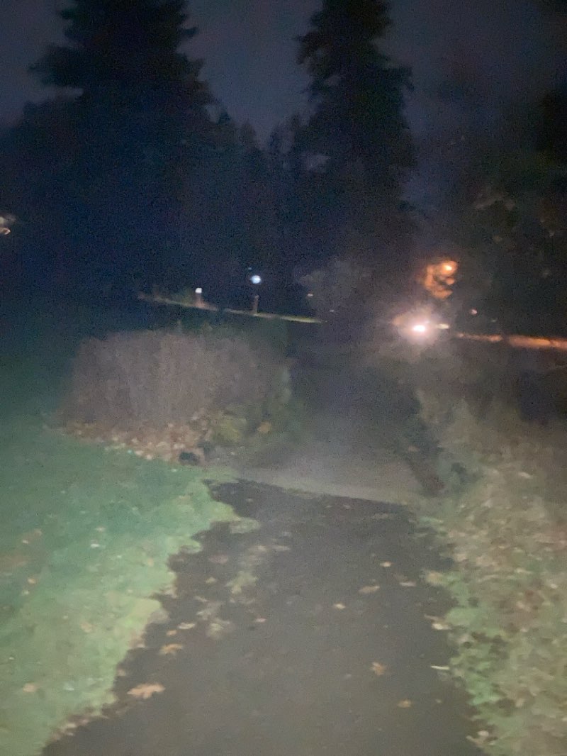 walking near me in Washburne City Park in spring