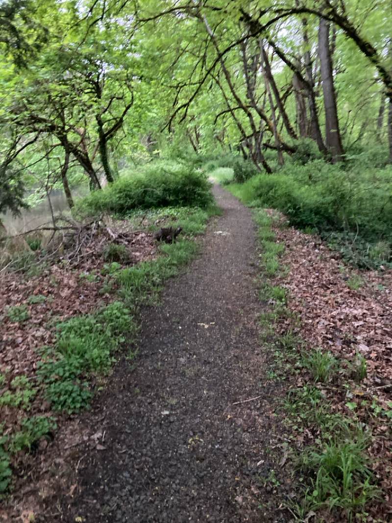walking near me in West D Street Greenway in spring