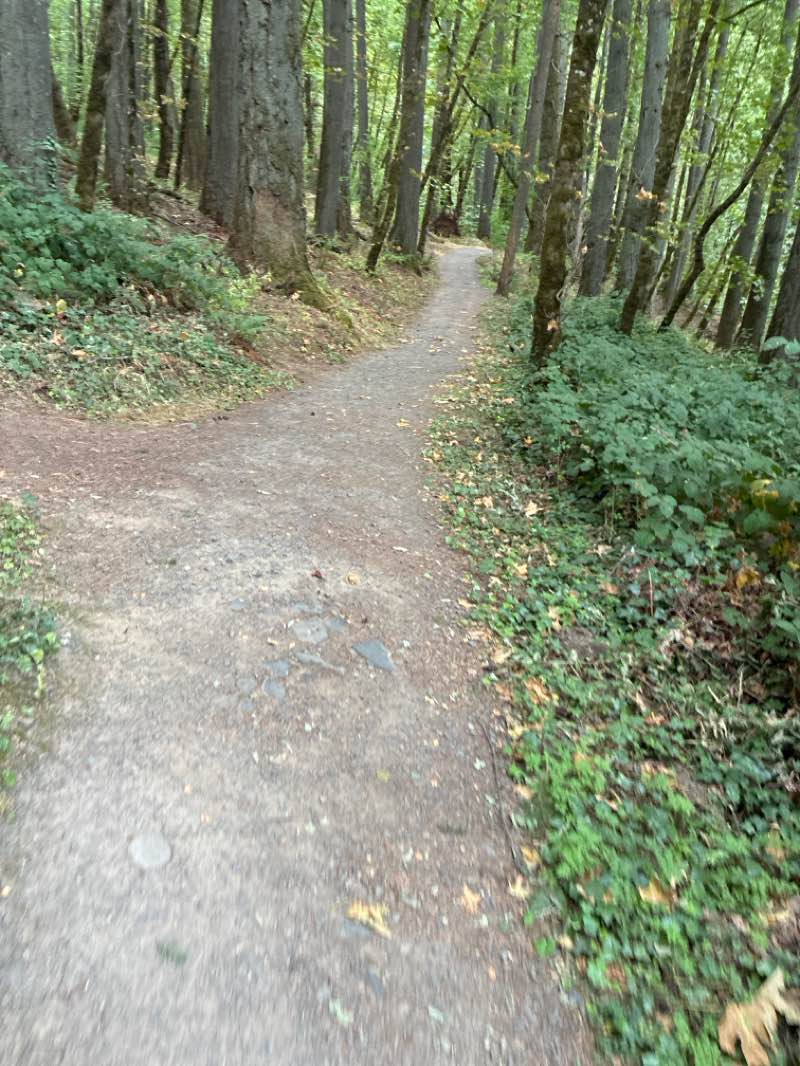 walking near me in Washburne City Park in summer