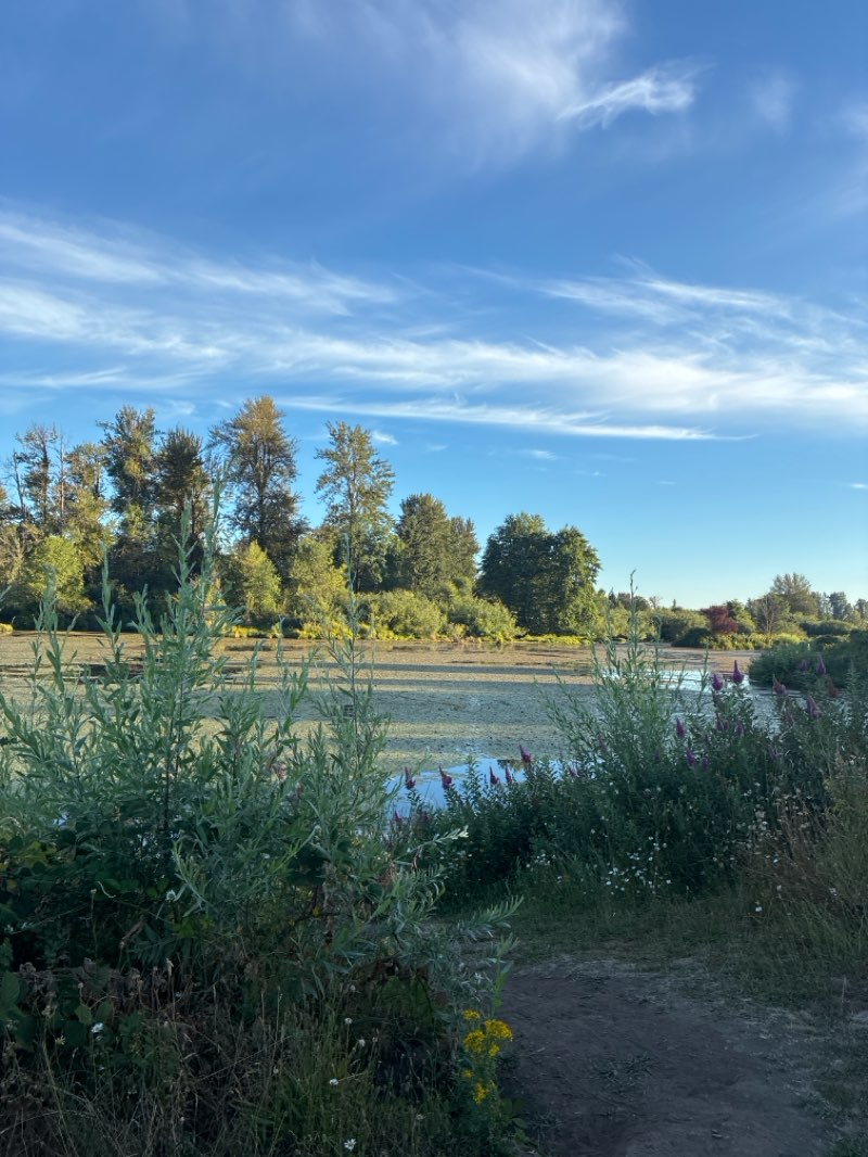 walking near me in Delta Ponds City Park in summer