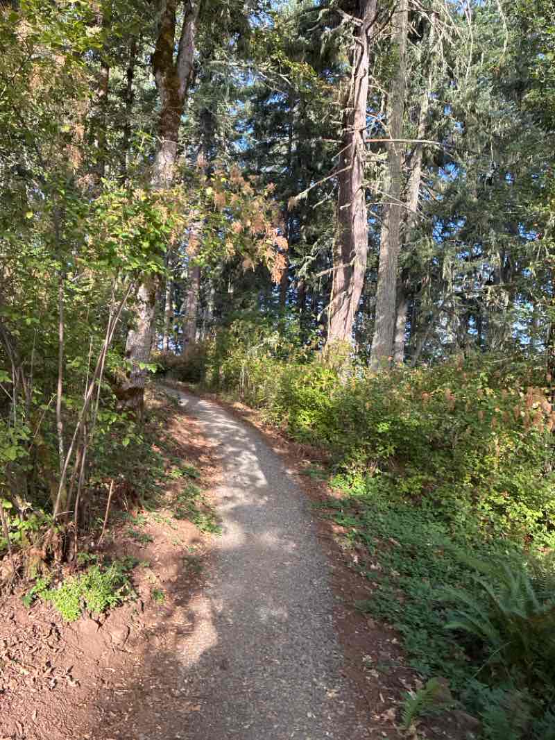 walking near me in Blanton Ridge in summer