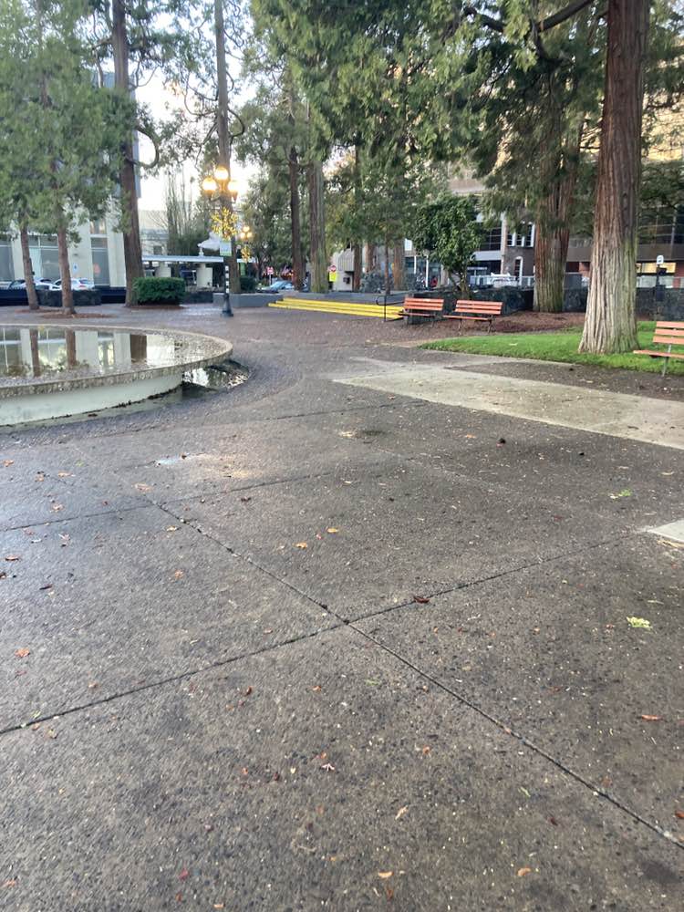 walking near me in Park Blocks in winter