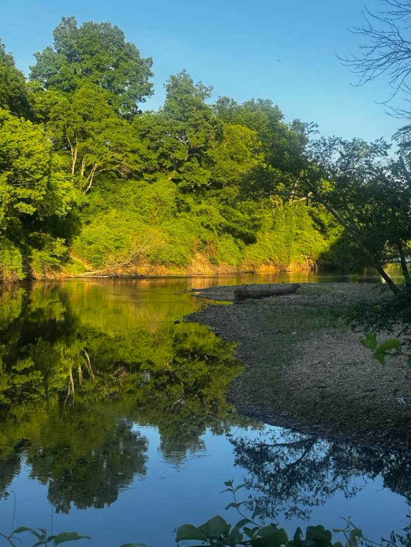 walking near me in Sam's Branch Greenway in spring
