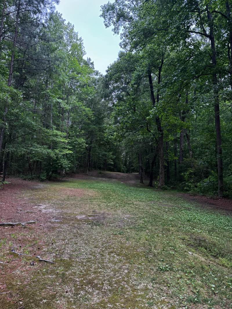 walking near me in Zebulon Community Park in spring