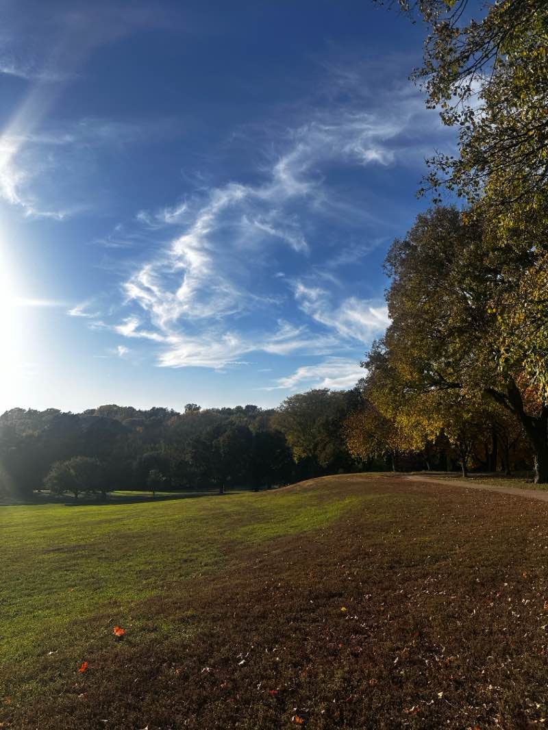 walking near me in Memorial Park in autumn