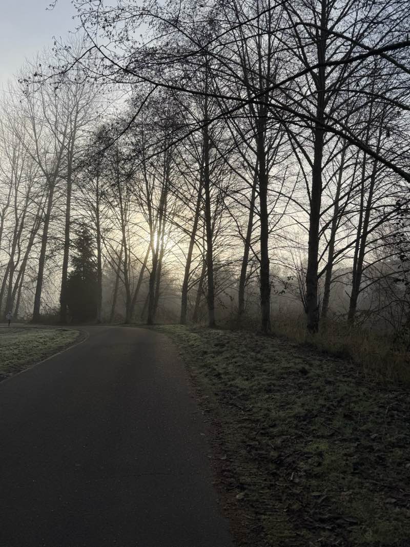 walking near me in Woodin Creek Park in winter