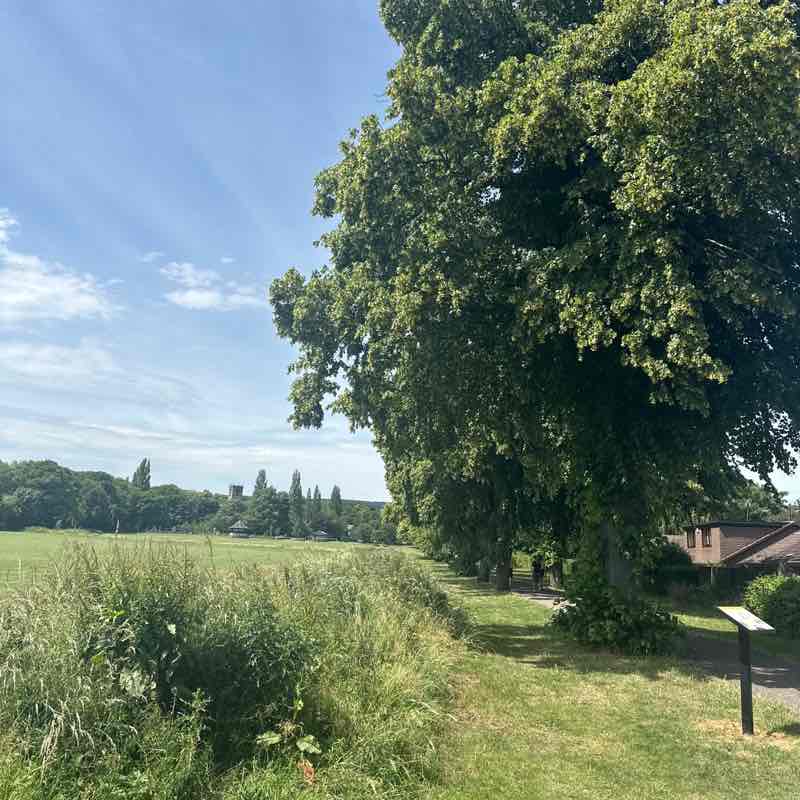 Mark Sykes post 1