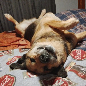 Elena “Wicked Wahine XOXO” Gallegos profile