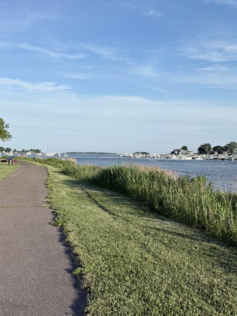 walking near me in Veterans Memorial Park in summer