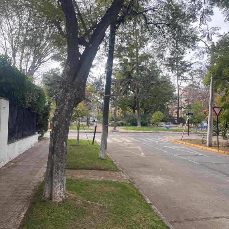 Carlos post 1