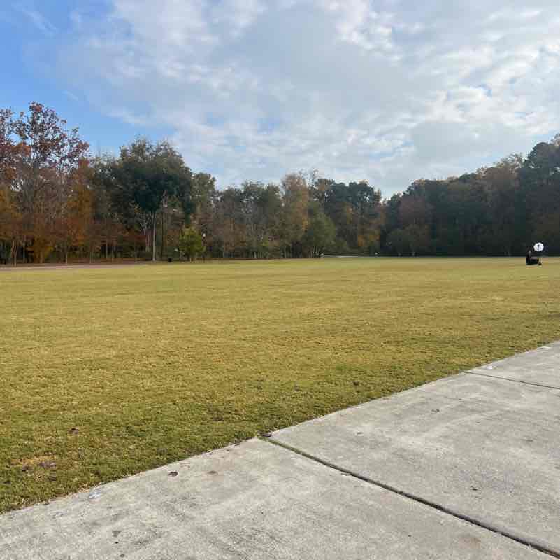 alexis.brinson post 1