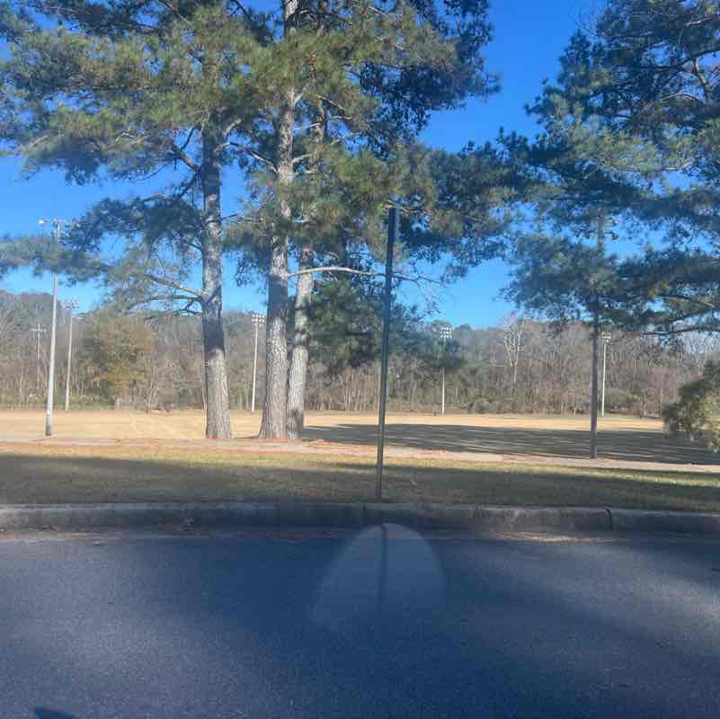 alexis.brinson post 1