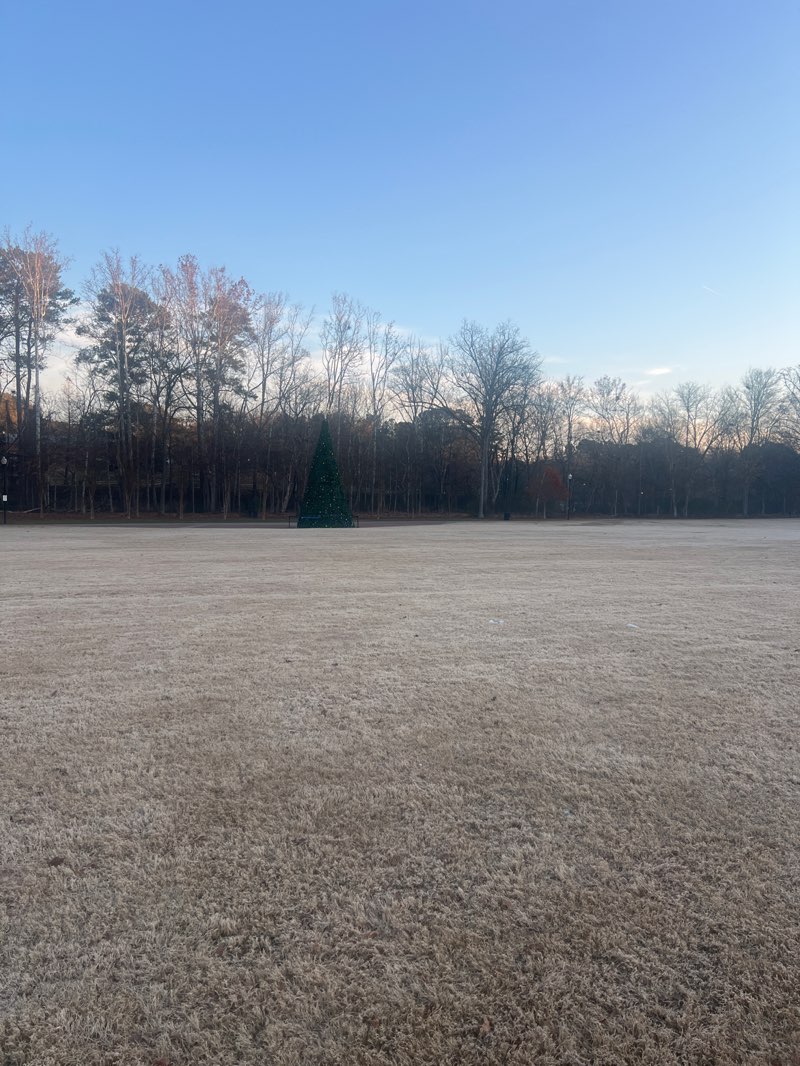 walking near me in Logan Farm Park in winter